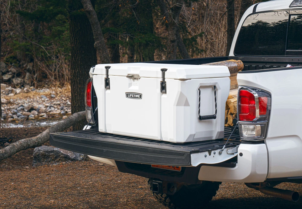 portable outdoor beverage cooler