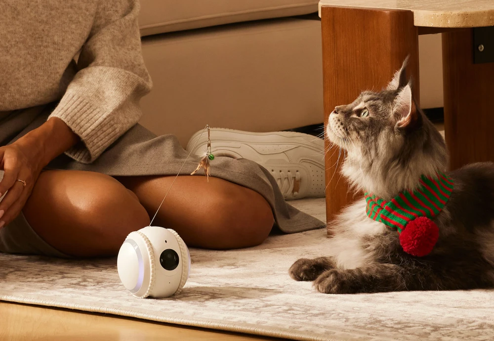 pet camera for cats