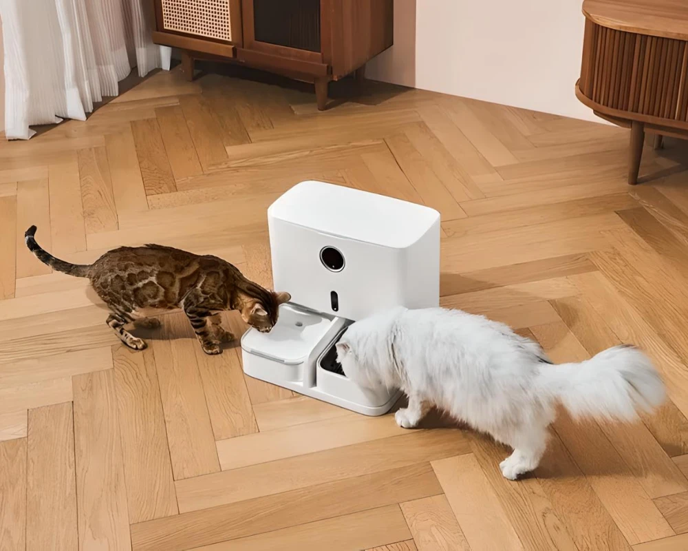 automatic dog water feeder